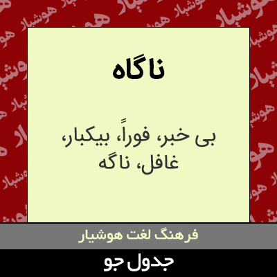 تصویری از ناگاه