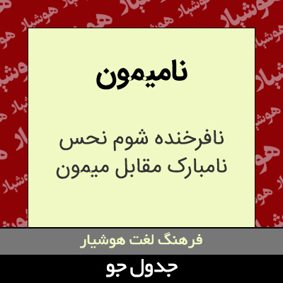 تصویری از نامیمون