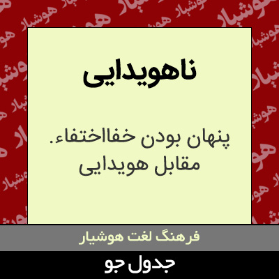 تصویری از ناهویدایی