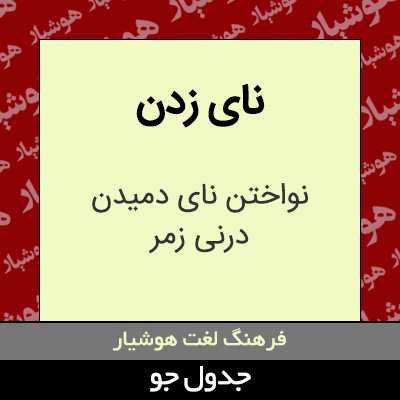 تصویری از نای زدن