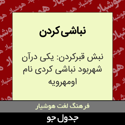 تصویری از نباشی کردن