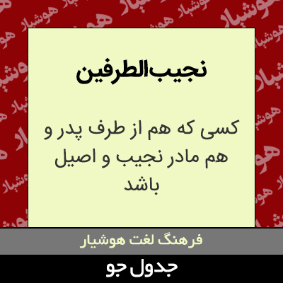 تصویری از نجیب الطرفین