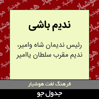 تصویری از ندیم باشی