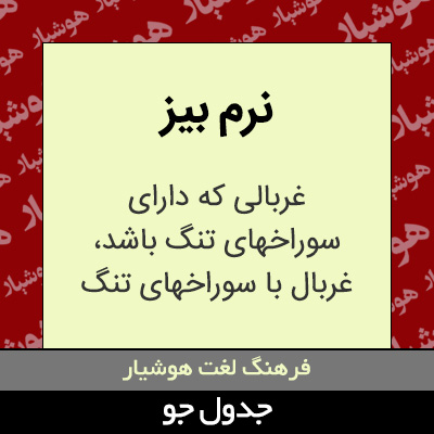 تصویری از نرم بیز