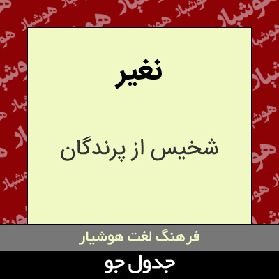 تصویری از نغیر