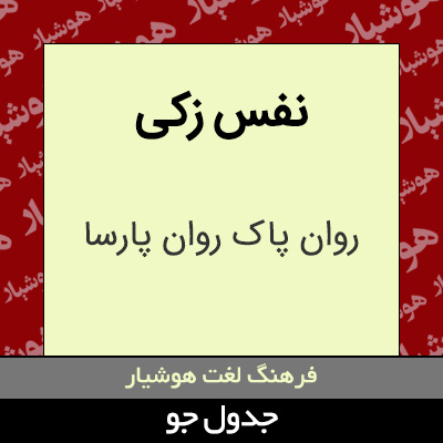 تصویری از نفس زکی