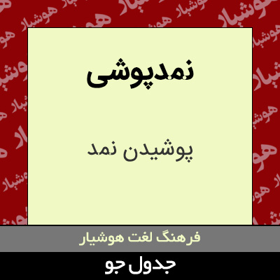 تصویری از نمدپوشی