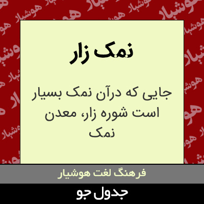 تصویری از نمک زار