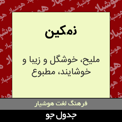 تصویری از نمکین