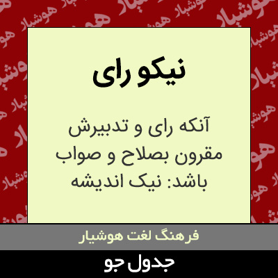 تصویری از نیکو رای