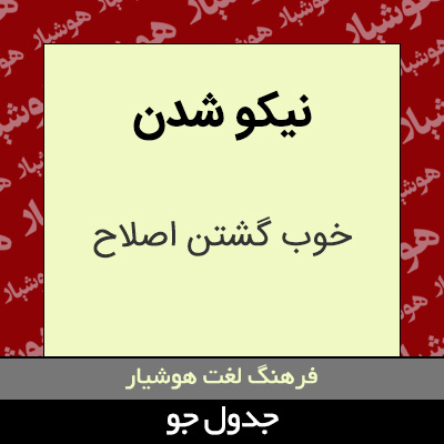 تصویری از نیکو شدن