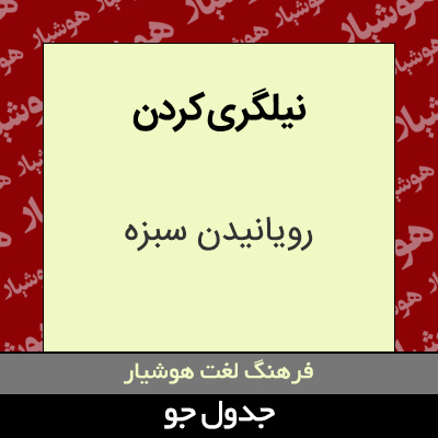 تصویری از نیلگری کردن