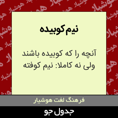 تصویری از نیم کوبیده