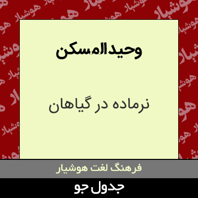 تصویری از وحید المسکن