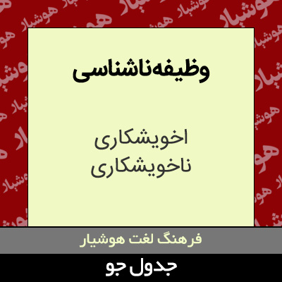 تصویری از وظیفه ناشناسی