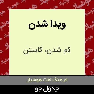 تصویری از ویدا شدن