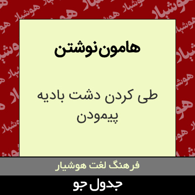 تصویری از هامون نوشتن