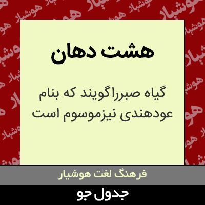 تصویری از هشت دهان