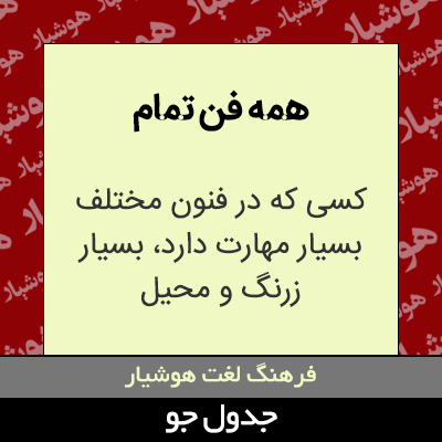 تصویری از همه فن تمام