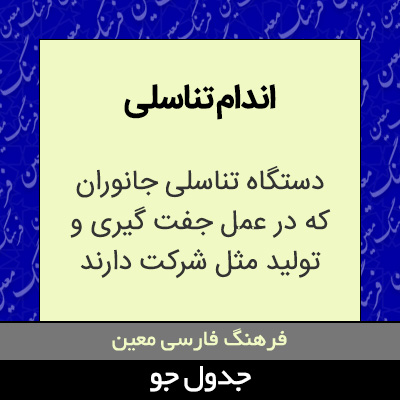 تصویری از اندام تناسلی