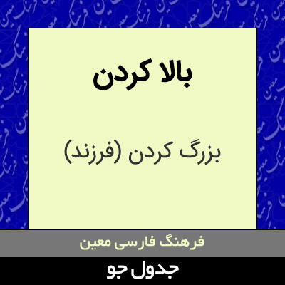 تصویری از بالا کردن