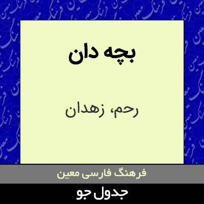 تصویری از بچه دان