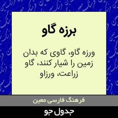 تصویری از برزه گاو