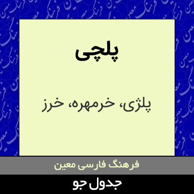 تصویری از پلچی