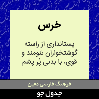 تصویری از خرس