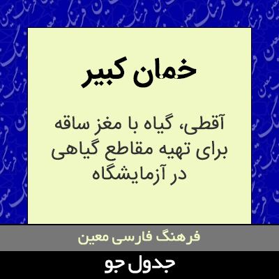 تصویری از خمان کبیر