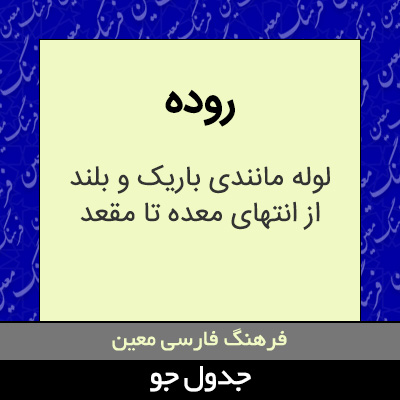 تصویری از روده