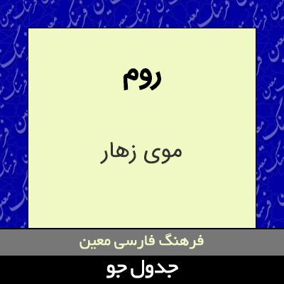 تصویری از روم