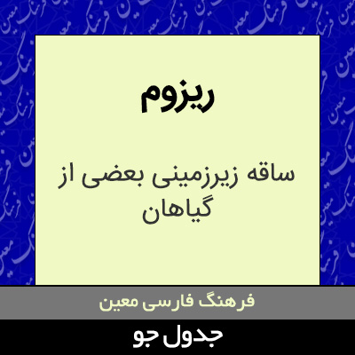 تصویری از ریزوم