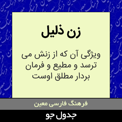 تصویری از زن ذلیل