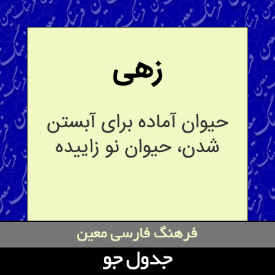 تصویری از زهی