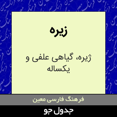 تصویری از زیره