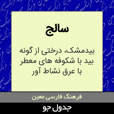 تصویری از سالج