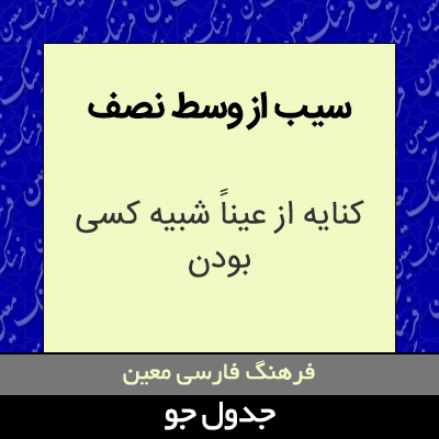 تصویری از سیب از وسط نصف