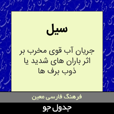 تصویری از سیل