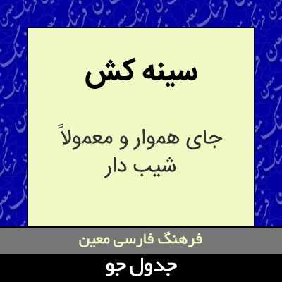 تصویری از سینه کش