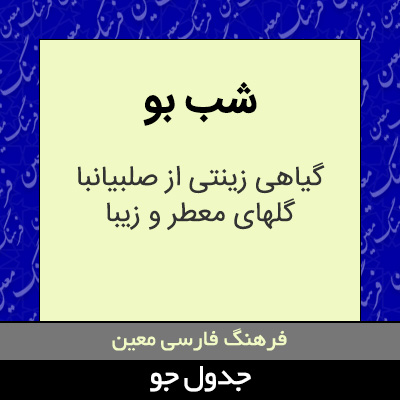 تصویری از شب بو