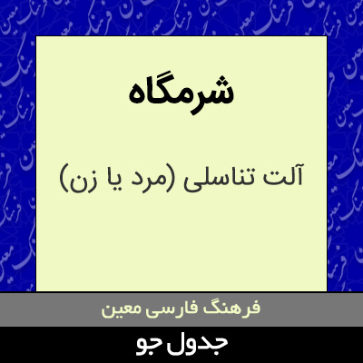 تصویری از شرمگاه