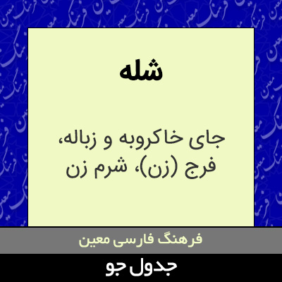 تصویری از شله