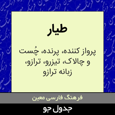 تصویری از طیار