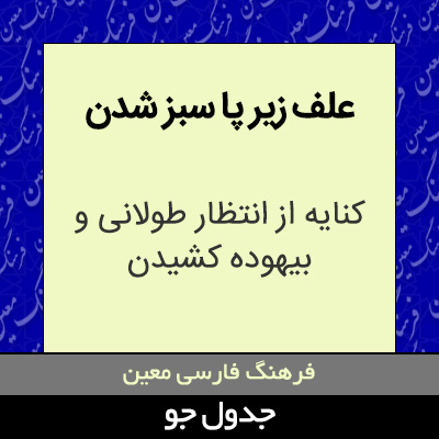 تصویری از علف زیر پا سبز شدن