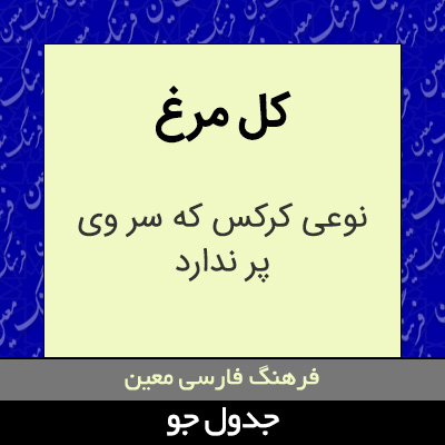 تصویری از کل مرغ