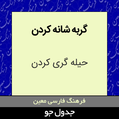 تصویری از گربه شانه کردن