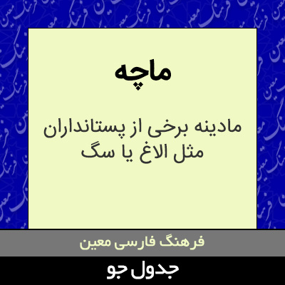 تصویری از ماچه