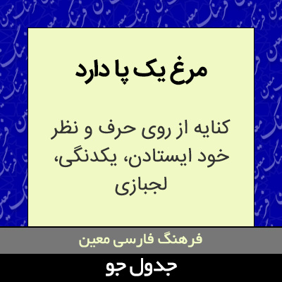 تصویری از مرغ یک پا دارد