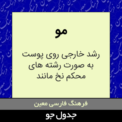 تصویری از مو